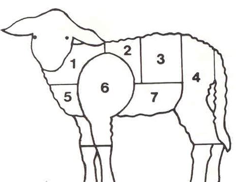 Části jehněčího masa