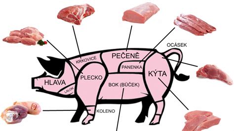 Části vepřového masa