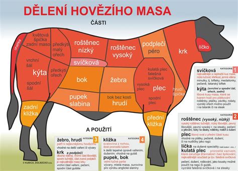 Řeznický nákres hovězího