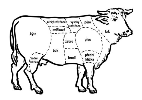 Řeznický nákres rozdělení hovězího masa