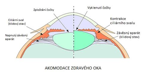 Akomodace čočky