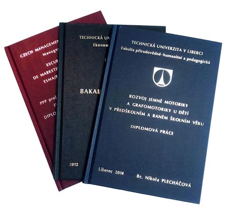 Bakalářská práce