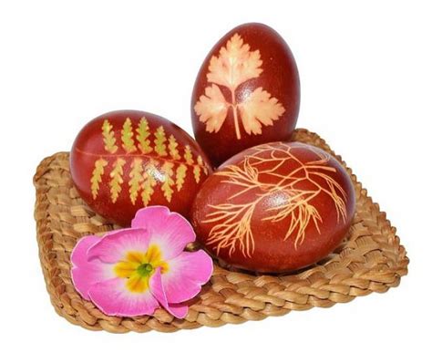 Barvení vajec přírodními barvivy