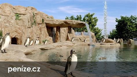 Expozice tučňáků