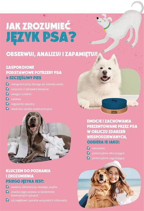Infografika dušení psa