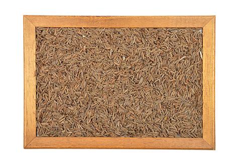 Kmínová semena