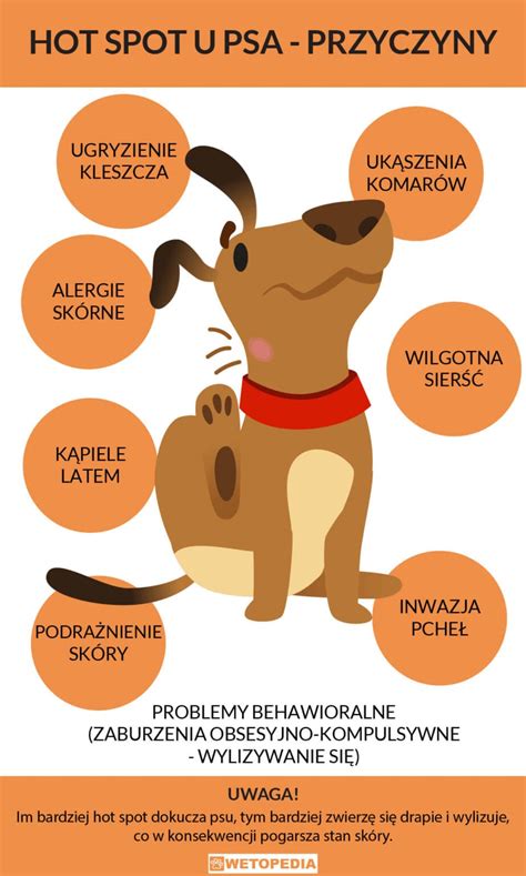 Léčba psího hot spotu