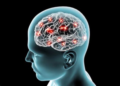 Lidský mozek a neurony