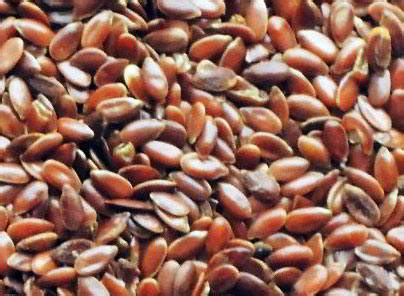 Lněné semínko účinky