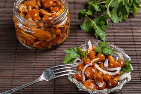 Nakládané Houby s Kyselinou Citrónovou