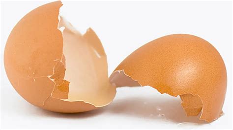 Oddělování vajec pomocí skořápky