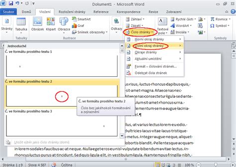 Odstranění číslování stránek ve Wordu