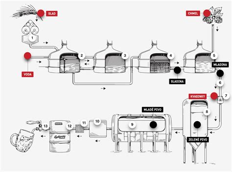 Proces vaření piva