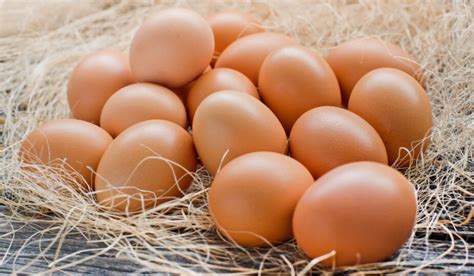 Různé úpravy vajec