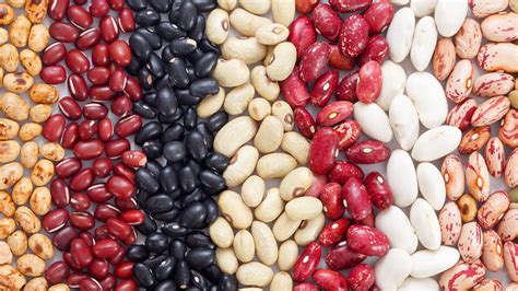 Různé druhy fazolí