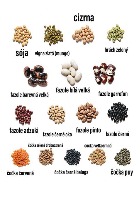Různé druhy luštěnin