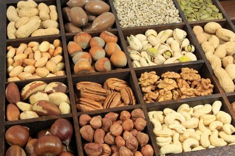 Různé druhy ořechů