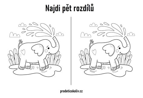 Rozdíly mezi kulatozrnnou a dlouhozrnnou rýží