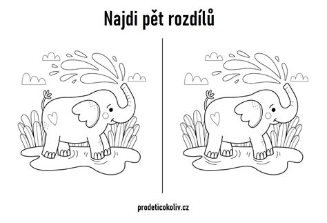 Rozdíly mezi moukami