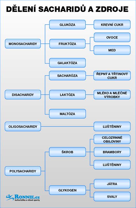 Rozdělení sacharidů