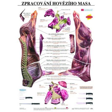 Schéma hovězího masa