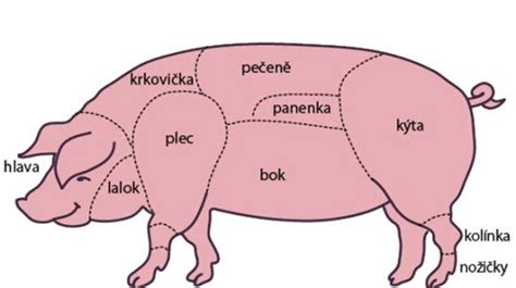 Schéma rozdělení vepřového masa