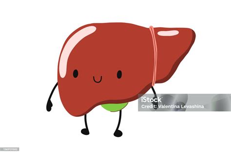 Servírování jater