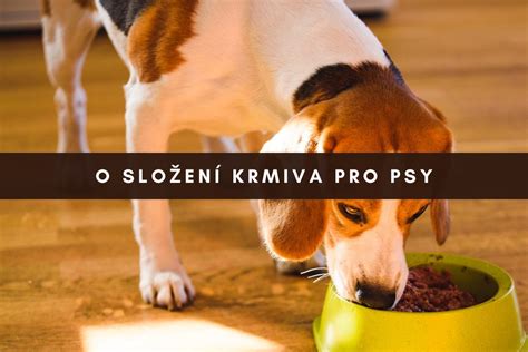 Složení krmiva pro psy