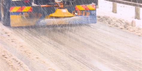 Solení v těstě (Niva)