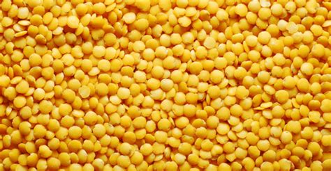 Srovnání druhů čočky