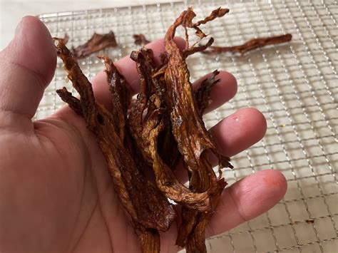 Sušení hlívy ústřičné