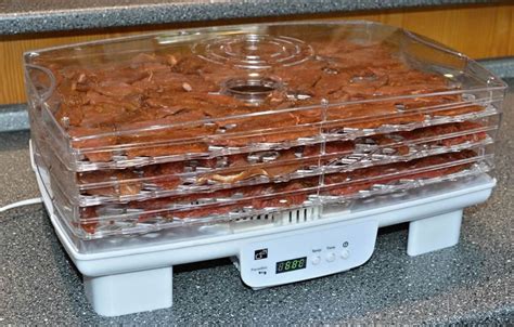 Sušení masa v sušičce