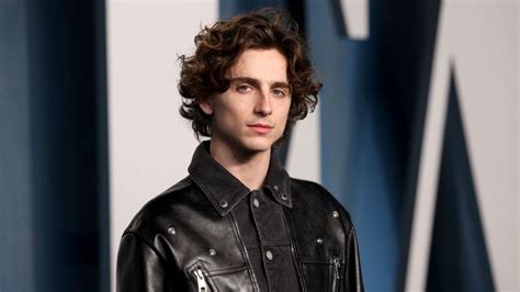 Timothée Chalamet ve filmu Kosti a všechno