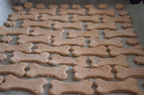 Tuňákové sušenky