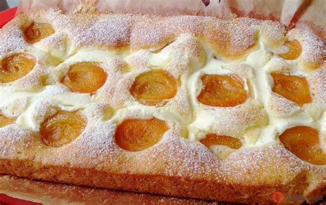 Tvarohový koláč s meruňkami