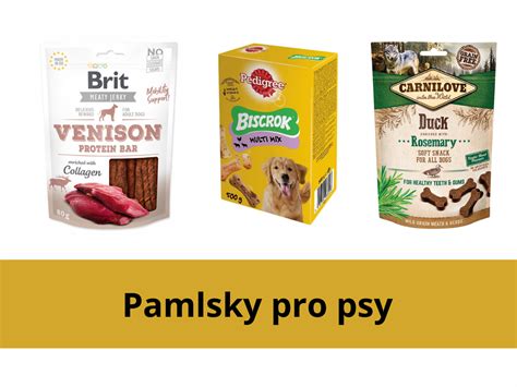 Typy pamlsků pro psy