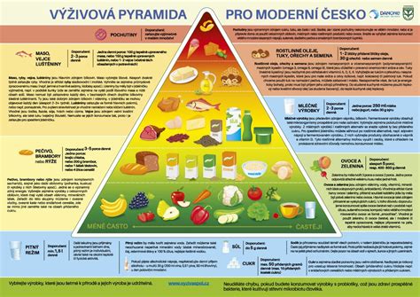 Výživová pyramida pro vegany