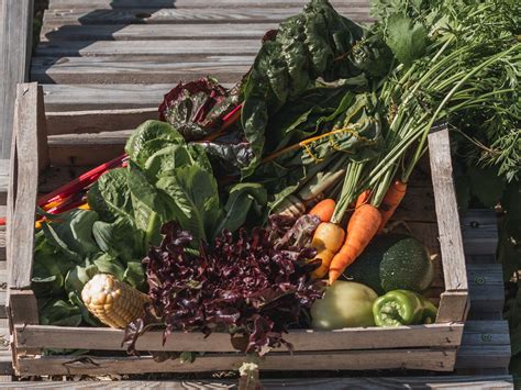 Zeleninové bedýnky