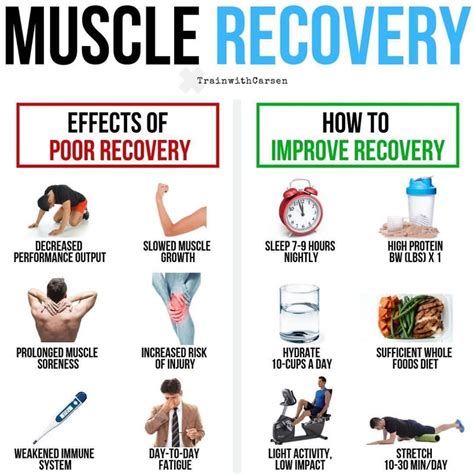 muscle-recovery-infographic