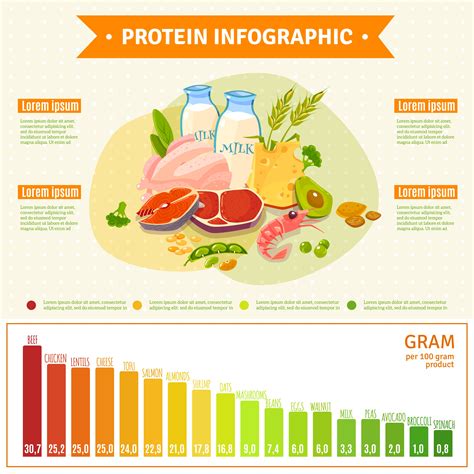 protein-sources-infographic